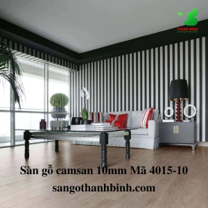 Camsan 10mm Mã 4015