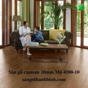 Camsan 10mm Mã 4500