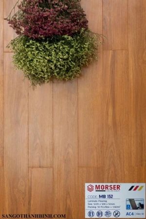 Morser Mặt Bóng Mã MB 152