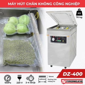 Máy hút chân không công nghiệp DZ-400