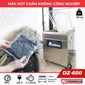 Máy hút chân không công nghiệp DZ-600