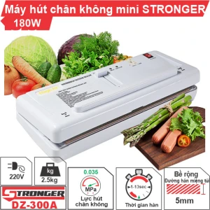 Máy hút chân không mini gia đình DZ-300A