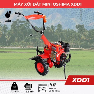 Máy xới đất mini chạy dầu OSHIMA XDD1