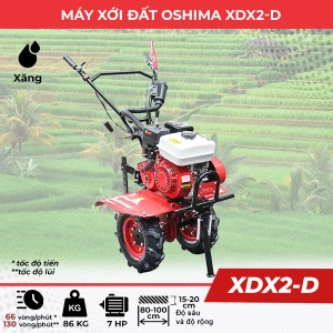 Máy xới đất mini chạy xăng OSHIMA XDX2-D