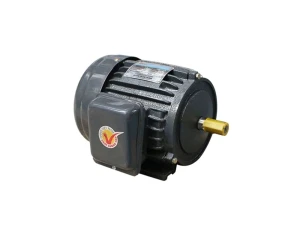 Motor Hồng Ký ZET vỏ gang 220V 1450 vòng/phút