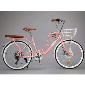 Xe đạp mini nữ Brave Will cao cấp BW179