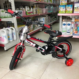 Xe đạp trẻ em World Baby 55A