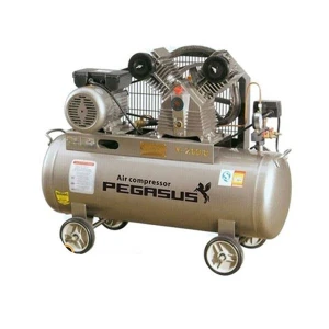 Máy nén khí dây đai Pegasus TM-V-0.25/12.5-120L