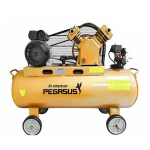 Máy nén khí dây đai Pegasus TM-V-0.25/12.5-180L