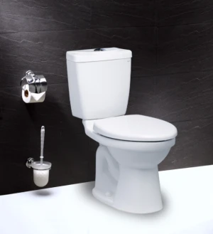 BỒN CẦU CAESAR CD1325 HAI KHỐI 2 NHẤN NẮP THƯỜNG