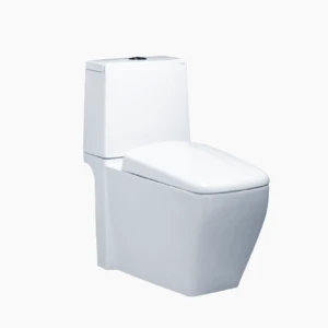 BỒN CẦU HAI KHỐI CAESAR CD1346 NẮP ÊM