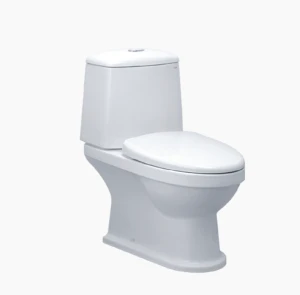 BỒN CẦU HAI KHỐI CAESAR CD1530 XẢ NHẤN NẮP ÊM