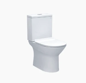 BỒN CẦU HAI KHỐI CAESAR CD1551