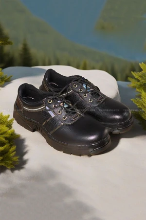 Giày Bảo Hộ Dragon 1NR - Bạn Có Biết Giá Trị Thực Của Đôi Giày Này ?