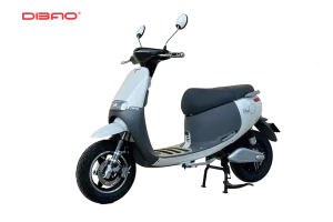 XE ĐIỆN DIBAO GOGO S5