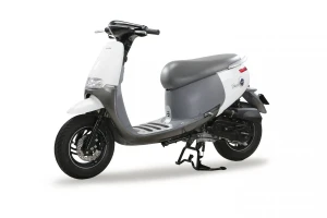 Xe máy 50cc tay ga Dibao Gofast