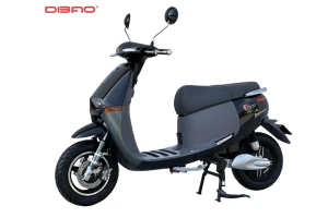 XE MÁY ĐIỆN DIBAO GOGO CROSS