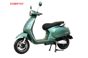 XE MÁY ĐIỆN DIBAO PANSY S2