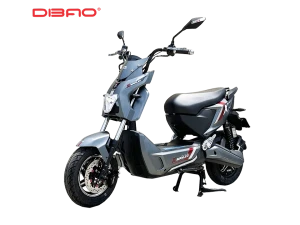 XE MÁY ĐIỆN DIBAO XMAN-LEO