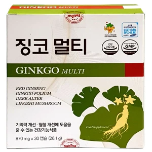 Ginkgo Multi, Hỗ trợ cải thiện tuần hoàn máu não, chống oxy hóa