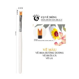 CỌ MÓNG VẼ HOA ĐUÔI YẾN BEALY