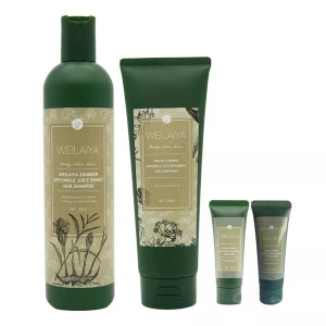 Da Khô Cặp Gội-Xả Gừng Hà Thủ Ô Weilaiya nhãn Nâu (Gội 400ml & Xả 250ml, kèm set gội-xả 20ml)