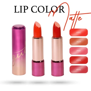 Son Môi Cao Cấp Cho Bà Bầu Không Chì GUO Lip Color Matte 5g