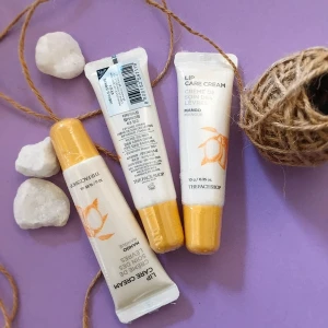 SON DƯỠNG MÔI CHIẾT XUẤT BƠ HẠT XOÀI-THE FACE SHOP