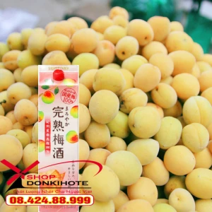 Rượu mơ vàng Umeshu Maroyaka 2L vị ngọt dịu Bạn đã thử chưa?