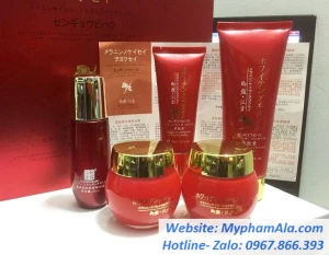 Bộ mỹ phẩm danxuenilan trị nám tàn nhang hoàng cung đỏ 5in1