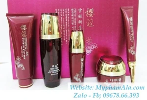 BỘ MỸ PHẨM TRỊ NÁM, TRẮNG DA HOA MAI TRẮNG 5IN1