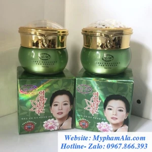 Bộ trị nám, dưỡng trắng da hoa nhài Hàn Quốc 2in1