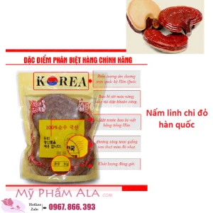 NẤM LINH CHI ĐỎ PHƯỢNG HOÀNG HÀN QUỐC