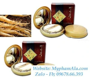 PHẤN HOÀNG HẬU THẢO MỘC 2 LÕI YEZIHU TWO-WAY TWIN PACT HÀN QUỐC