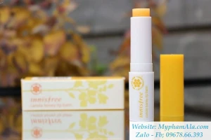 SON DƯỠNG MÔI INNISFREE CANOLA HONEY LIP BALM