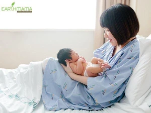 Ghế Xông Vùng Kín Tại Nhà Cho Mẹ Sau Sinh - Earthmama
