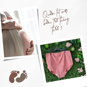 Quần lót bầu cạp cao LAMOM