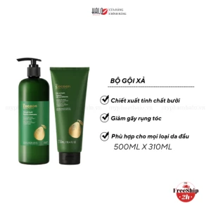 Bộ Gội Xả Bưởi Cocoon Không Sulfate Và Giảm Gãy Rụng 500ml 310ml