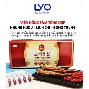 Viên đạm hồng sâm nhung hươu linh chi Daedong - Korea Red Ginseng Capsule Premium (120 Viên)