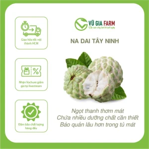 Na Dai Tây Ninh Hương Vị Thơm Ngon, Dồi Dào Dinh Dưỡng