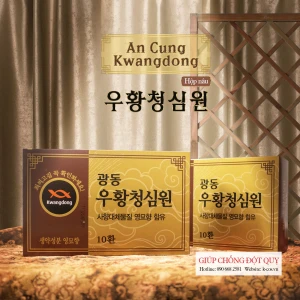 An Cung Ngưu Hoàng Hoàn Kwangdong Hàn Quốc Hộp Màu Nâu