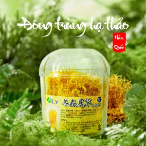 Đông Trùng Hạ Thảo Tươi Hàn Quốc - Dạng sợi
