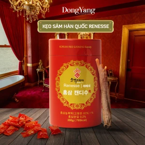 Kẹo Hồng Sâm Có Đường Renesse Hàn Quốc Hộp 20G