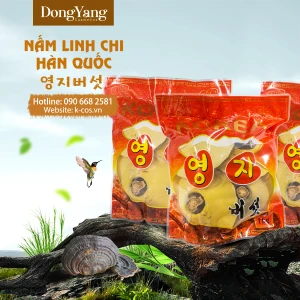 Nấm Linh Chi Hàn Quốc Túi 1Kg- Túi Đỏ