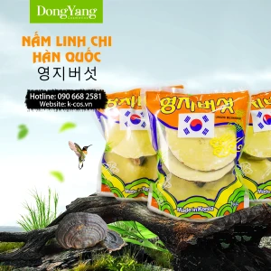 Nấm Linh Chi Hàn Quốc Túi 1Kg