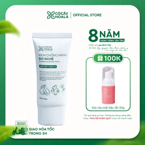 Kem Chống Nắng Bơ Nghệ Cỏ Cây Hoa Lá 30g CHỐNG NẮNG - DƯỠNG ẨM