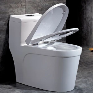 Bồn Cầu Một Khối 507 BRODA