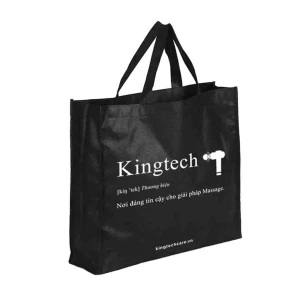 Túi Vải Không Dệt KINGTECH