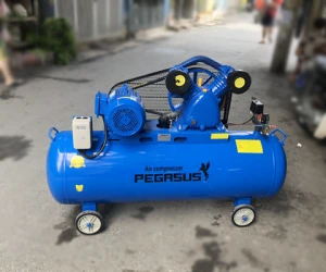 Máy nén khí dây đai Pegasus TM-V-0.6/8-230L