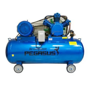 Máy nén khí Pegasus TM- V-0.17/8 (2HP) 70L